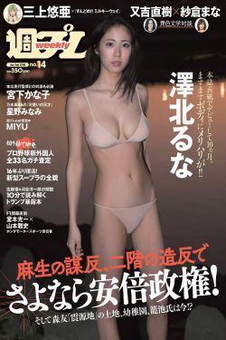刺客小说家